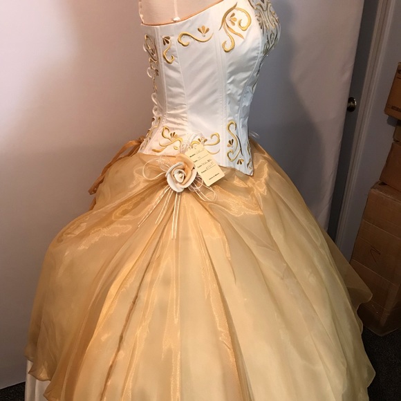 Quinceañera/ Prom Dress - Picture 2 of 4